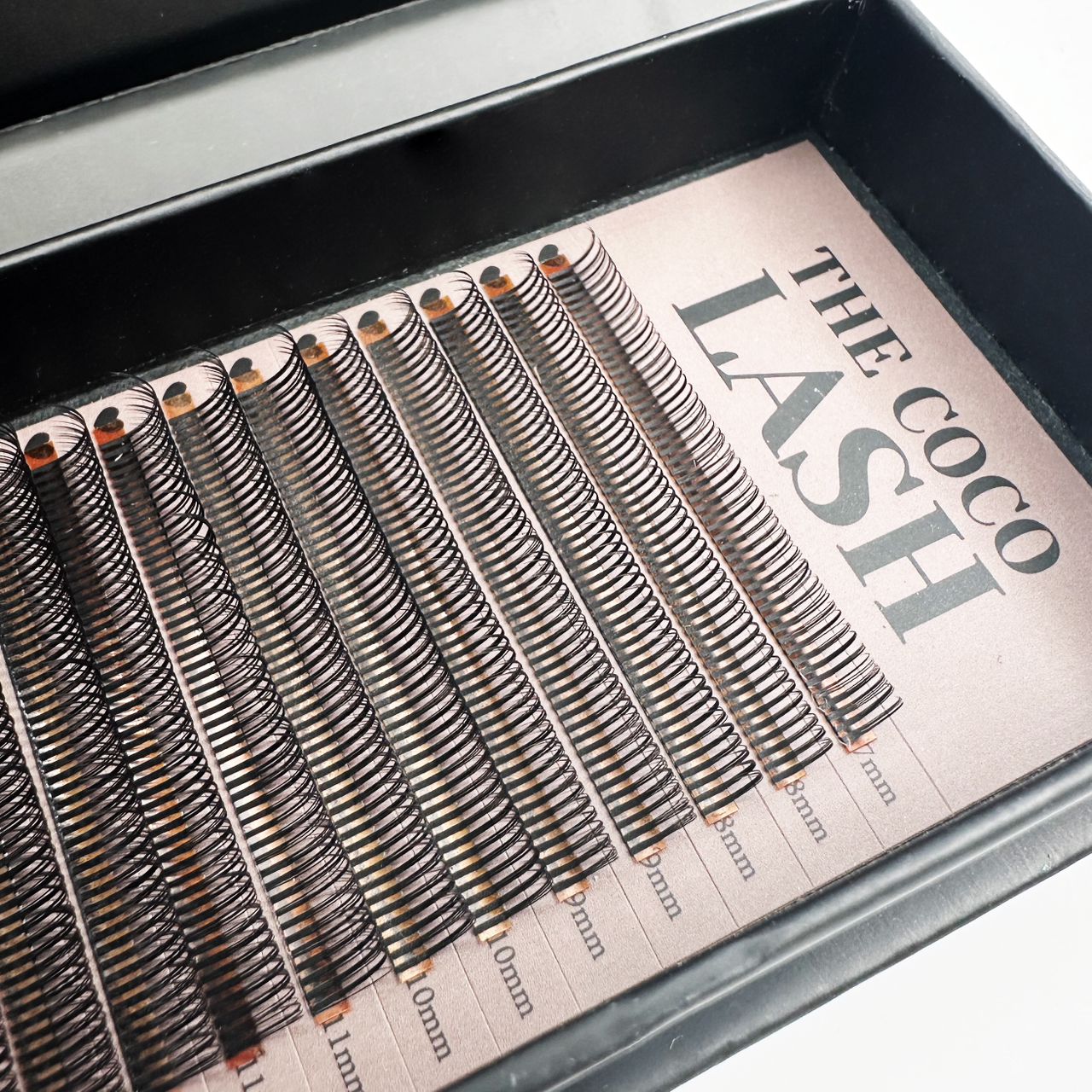 Wet Look Lash - Black